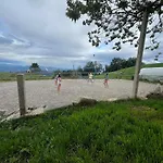 Apartma Spodnji Goltnik 1