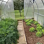 Apartma Spodnji Goltnik 1 Apartman *