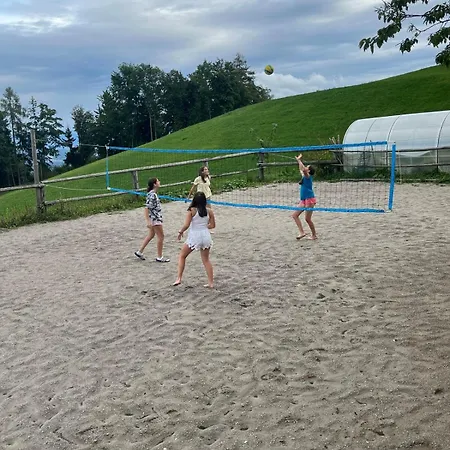 Apartma Spodnji Goltnik 1 Mozirje