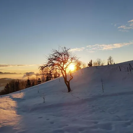 Apartamento Apartma Spodnji Goltnik 1 *