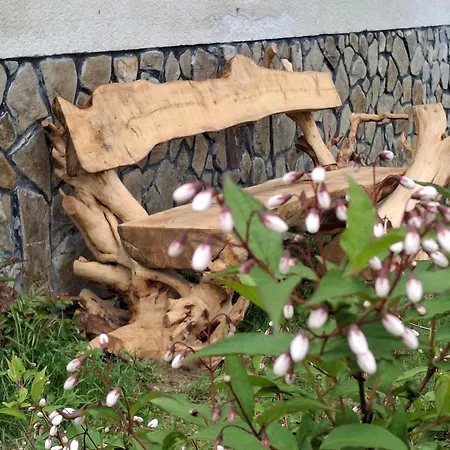 Apartma Spodnji Goltnik 1 Apartamento