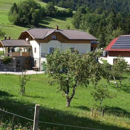 Апартаменты Apartma Spodnji Goltnik 1
