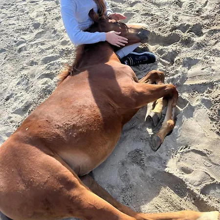 Apartma Spodnji Goltnik 1 Mozirje