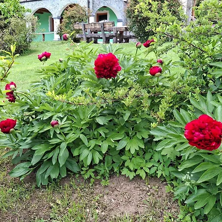 Apartma Spodnji Goltnik 1 * Мозирье