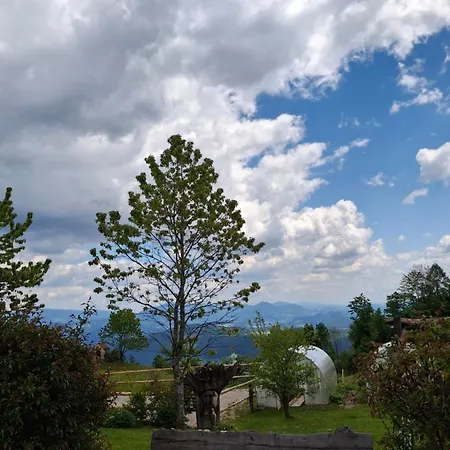 Apartma Spodnji Goltnik 1 *