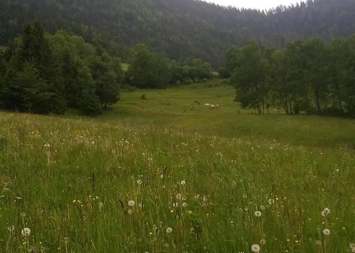 Apartma Spodnji Goltnik 1 * Мозирье