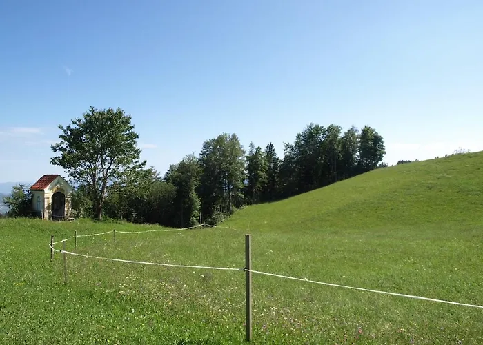 Апартаменты Apartma Spodnji Goltnik 1 *