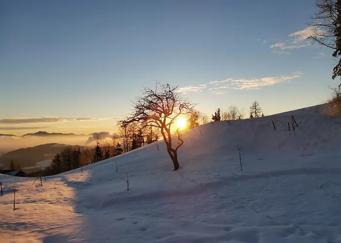 Appartement Apartma Spodnji Goltnik 1 *