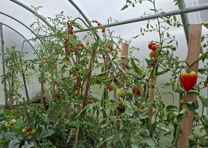 Appartement Apartma Spodnji Goltnik 1