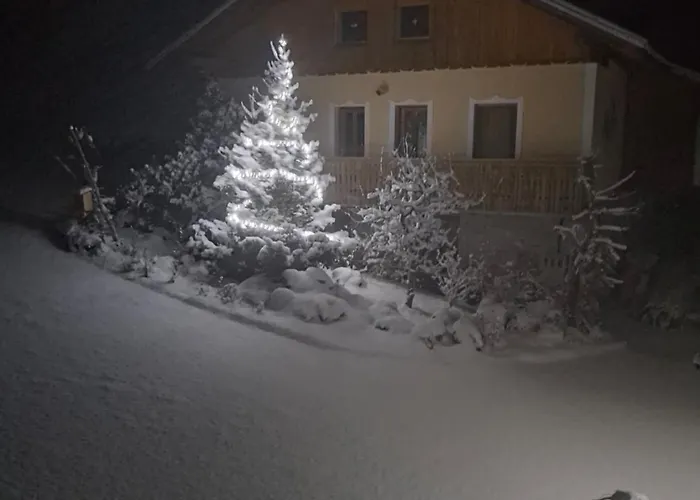 Apartma Spodnji Goltnik 1 Apartamento