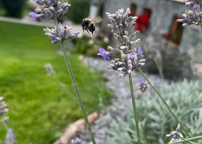 Apartma Spodnji Goltnik 1 Appartement