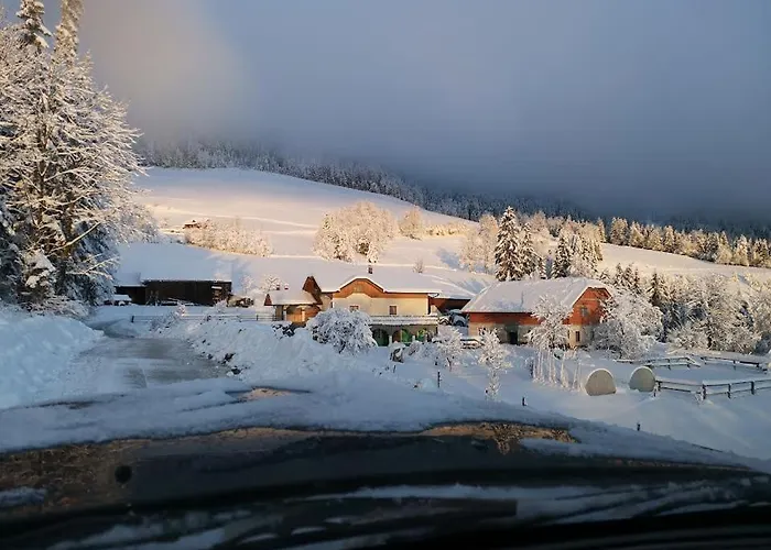 Apartma Spodnji Goltnik 1 Mozirje