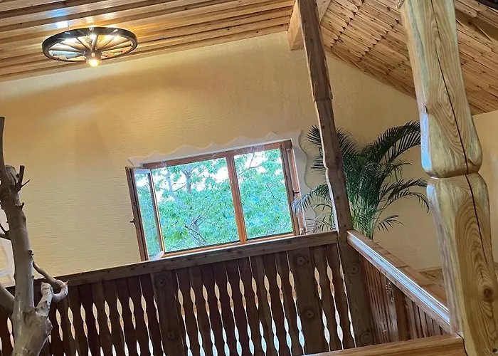 Apartma Spodnji Goltnik 1 *