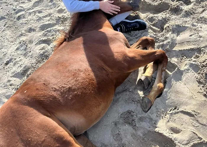 Apartma Spodnji Goltnik 1 Mozirje