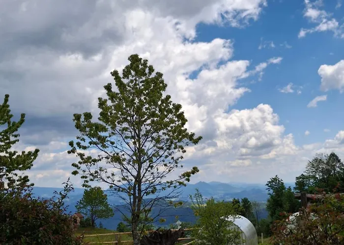 Apartma Spodnji Goltnik 1 *