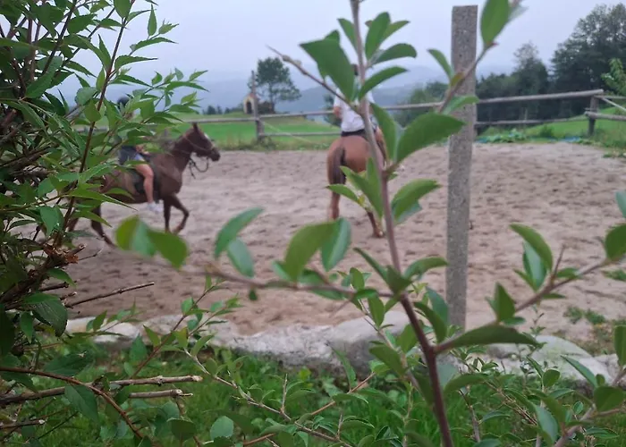 Apartma Spodnji Goltnik 1 Apartamento