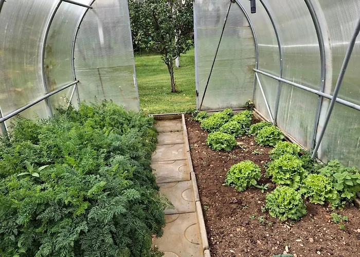 Apartma Spodnji Goltnik 1 Appartement *