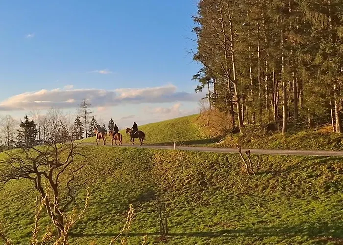 Apartma Spodnji Goltnik 1 Mozirje