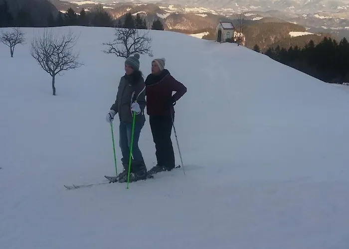 Apartamento Apartma Spodnji Goltnik 1 Mozirje